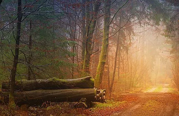 Времето ни носи прекрасен ден с голям капан