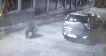 Мечка на вратата. Изяде гроздето на семейство