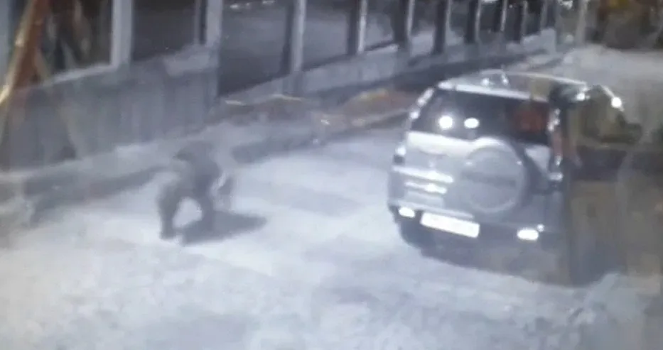 Мечка на вратата. Изяде гроздето на семейство