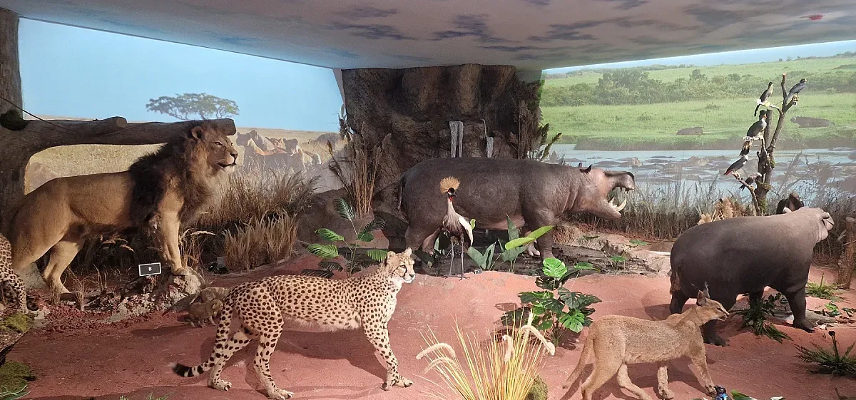 Наш музей направи нещо невиждано! Уникална зала и зоокафе