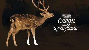 Ново чудо в най-добрия музей на България! Животни, които изчезват