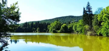 Новото лице на уелнес туризма