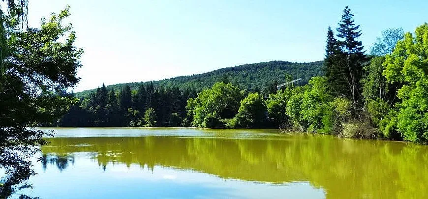 Новото лице на уелнес туризма