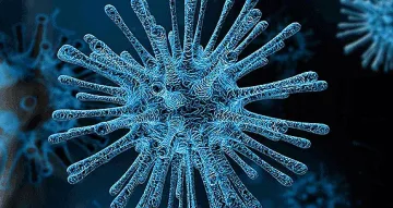 СЗО бие аларма! Огнище на смъртоносен вирус