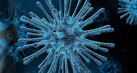 СЗО бие аларма! Огнище на смъртоносен вирус