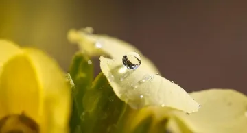 Силен дъжд поразява части от страната, температурите остават високи