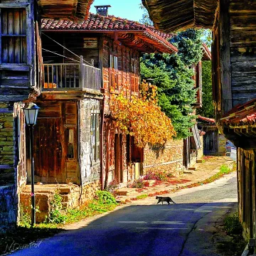 Уникален български град пази 200 къщи от най-славния период в историята