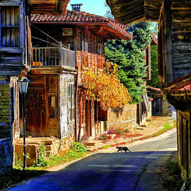 Уникален български град пази 200 къщи от най-славния период в историята