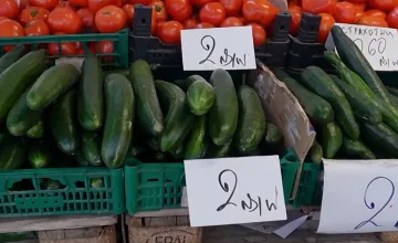 Зеленчуков шок през зимата! Цените тръгват нагоре