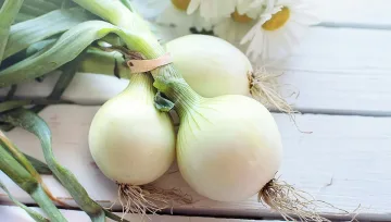 Какво се случва с организма ви, ако всеки ден ядете лук