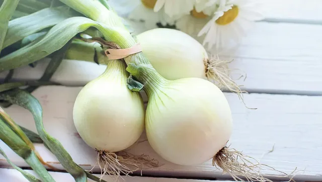 Какво се случва с организма ви, ако всеки ден ядете лук