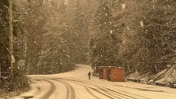 Нещо страшно на Витоша. Пълзи към София /ВИДЕО/