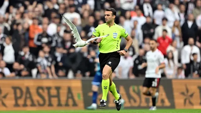 Най-големият куриоз! Чайка спря мач