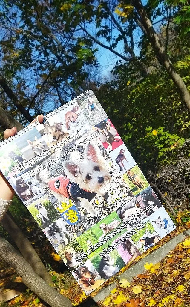 Подкрепи благотворителна инициатива – купи календар на Приюта за безстопанствени кучета