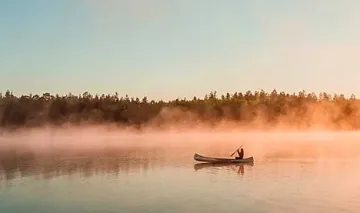 Шведската рецепта за уелнес: Здравето се лекува с гори и сауни