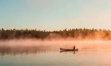 Шведската рецепта за уелнес: Здравето се лекува с гори и сауни
