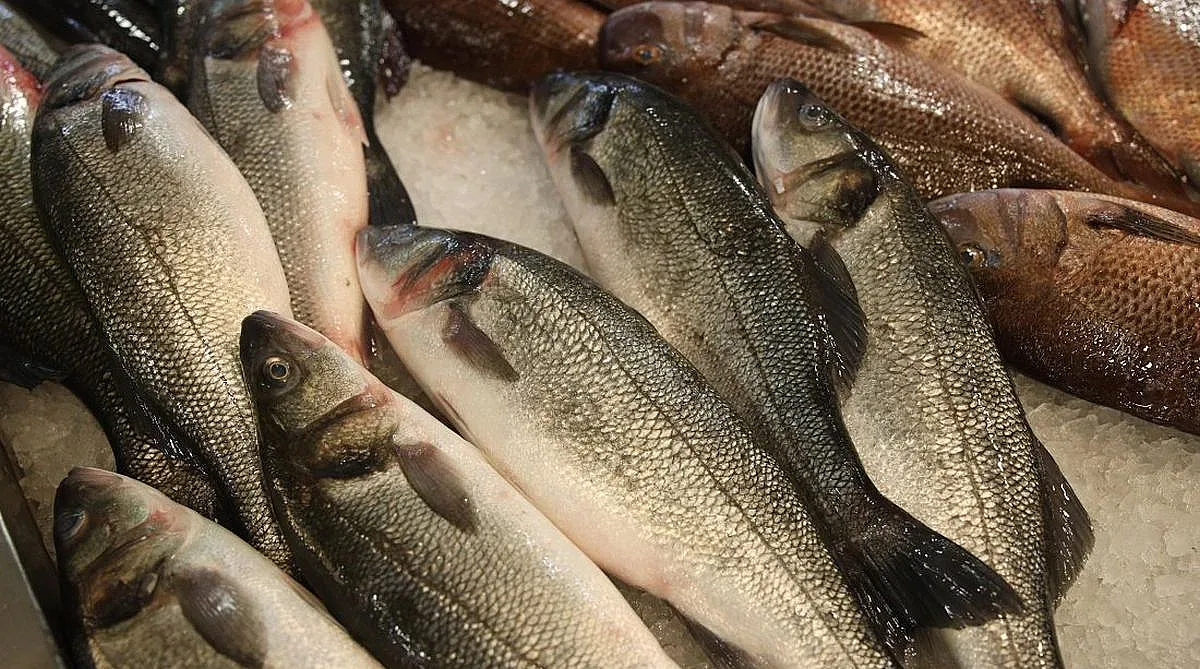 Денонощни проверки за Никулден. Инспектори на лов за нелегална риба