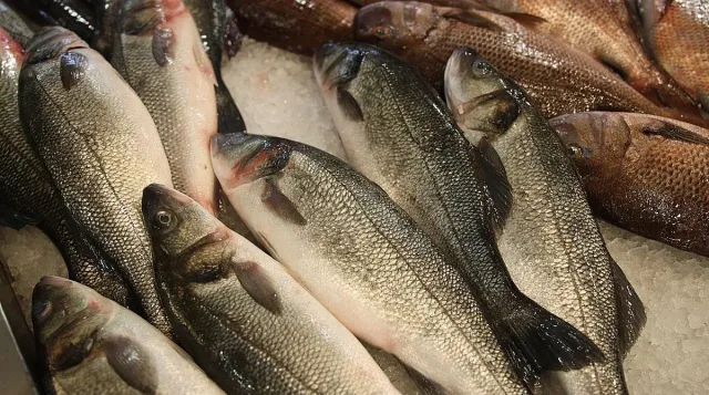 Денонощни проверки за Никулден. Инспектори на лов за нелегална риба