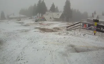 Сняг вече се сипе в страната! СНИМКА