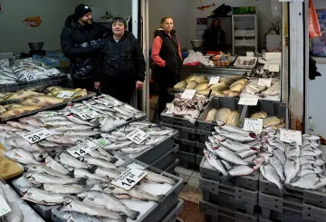 Рибари алармират за аномалия: Къде са чернокопът, паламудът?