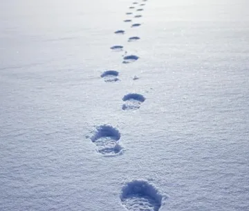 Планините побеляха. Ето къде вали сняг