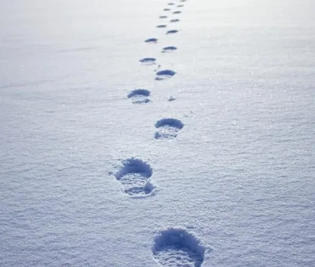 Планините побеляха. Ето къде вали сняг