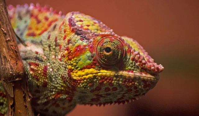 Кой е вашият „щастлив цвят“ според деня от седмицата, в който сте родени?