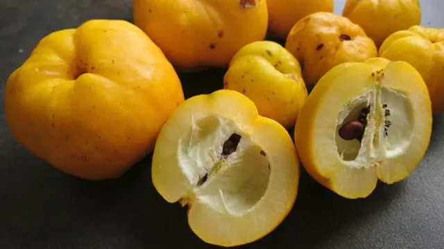 Българите полудяха по тези лимони. Съдържат 20 пъти повече Витамин С