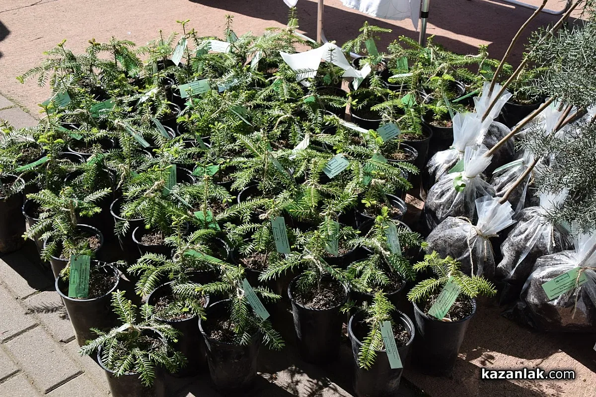 Ученици и доброволци от садят дървета край Шипка