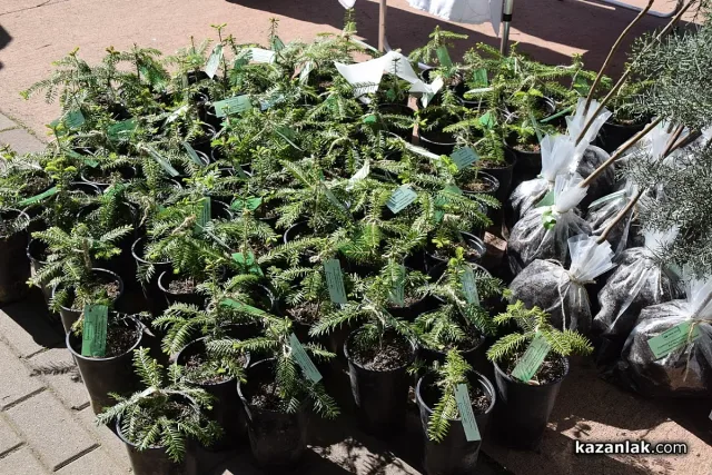 Ученици и доброволци от садят дървета край Шипка