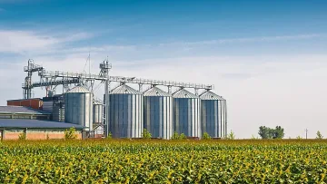 Фалира един от най-големите търговци на зърно в България