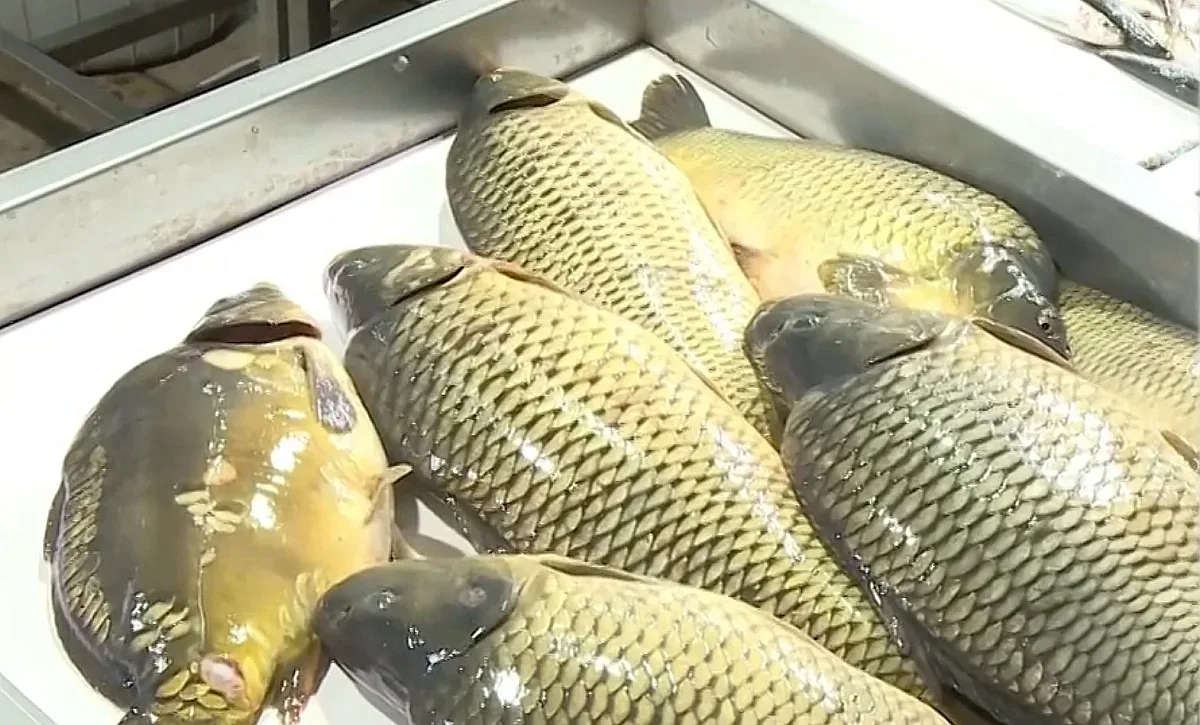 Масирани проверки удариха търговци-мошеници преди Никулден