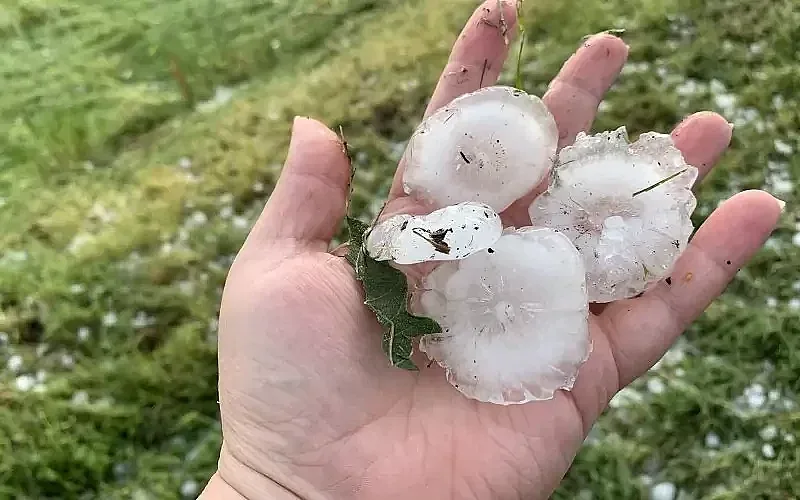 Черно небе! Град като яйце смаза Нова Загора, иде нова буря (ВИДЕО и СНИМКИ)