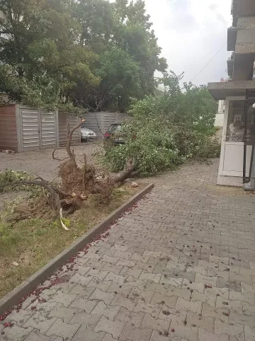 Нов леден ад у нас! Кошмар за пореден град