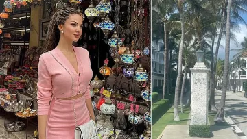 Какво става? Наша фолкаджийка отряза вилата на Тръмп