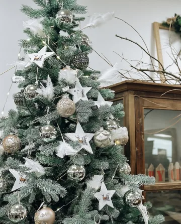 От черни в Сърбия до гигантски елхи в България: Коледните тенденции на 12 държави