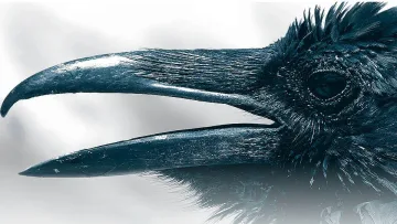 "Проклятие" над всяка зодия. Как да го превърнем в суперсила?