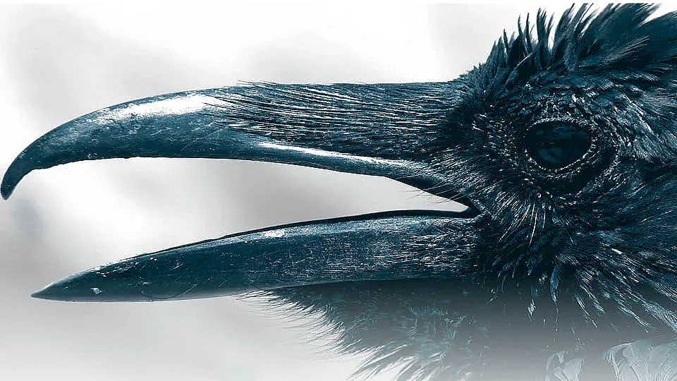 "Проклятие" над всяка зодия. Как да го превърнем в суперсила?