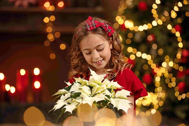 Тайната за джуджетата на Дядо Коледа е разкрита