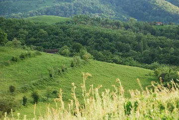 Лоши новини за българската земя