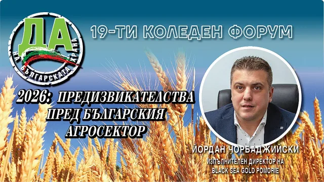 Винарите с коледен подарък за българите. Невиждан ход