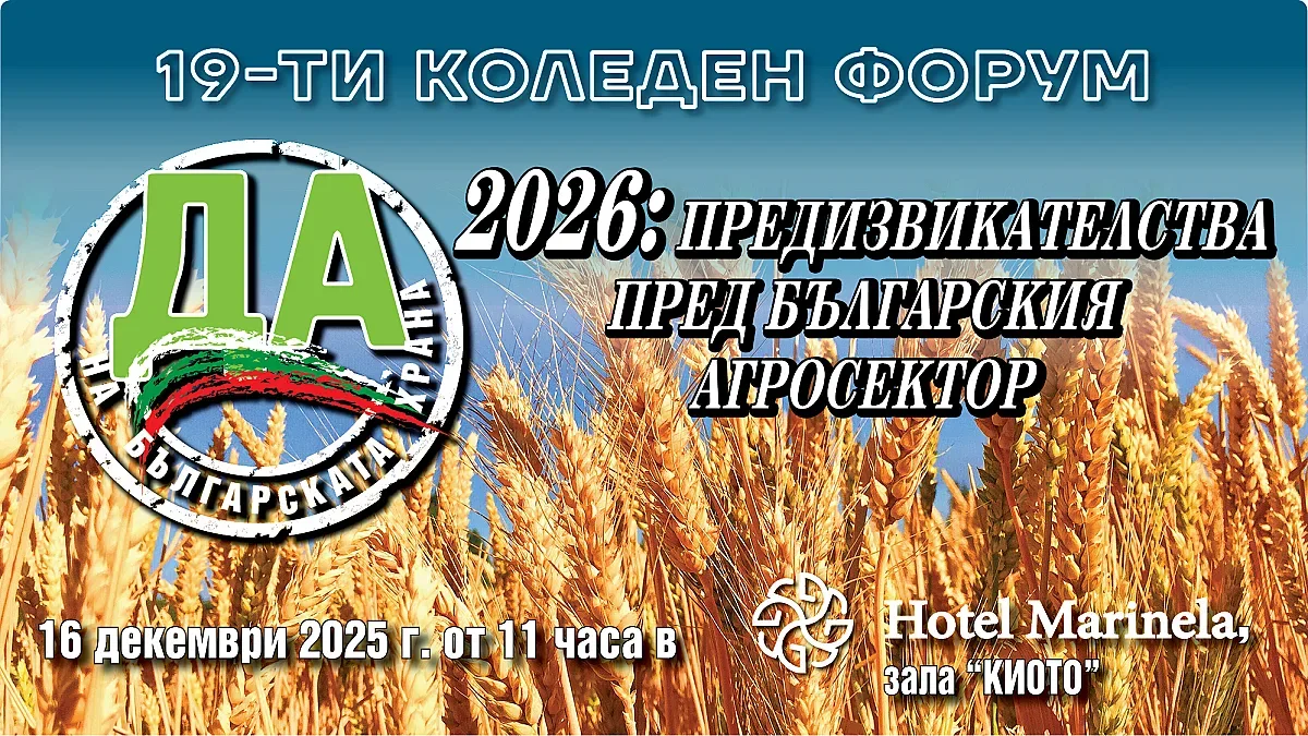 Държавата в евро, бюджетът - в лева! Ще полетят ли цените?