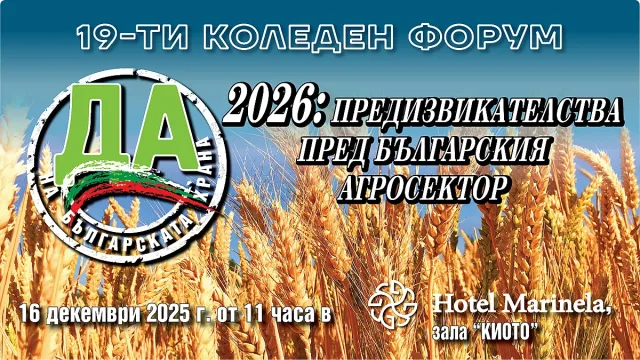 Държавата в евро, бюджетът - в лева! Ще полетят ли цените?