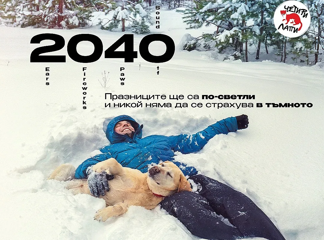 ЧЕТИРИ ЛАПИ: Празниците могат да бъдат светли и тихи – без страх и без пиротехника с Движение 2040