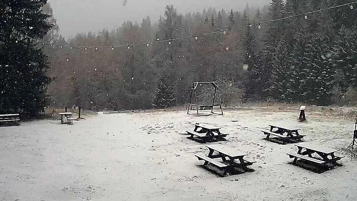 Трагедия на Витоша! Спасители откриха починал турист