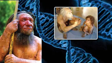 Голямата загадка за произхода на човека