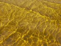 Ново свръхгигантско златно находище. Една държава ликува