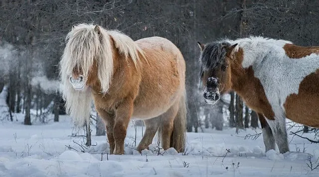 Измериха най-ниската температура на Земята