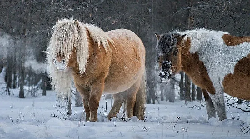 Измериха най-ниската температура на Земята