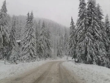 Снегът дойде в тези части на България. Едни ликуват 